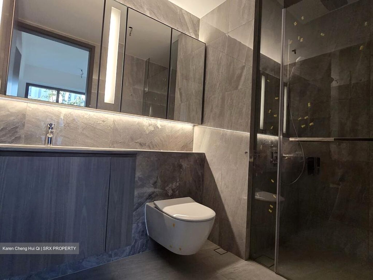 Piccadilly Grand (D8), Apartment #495659011